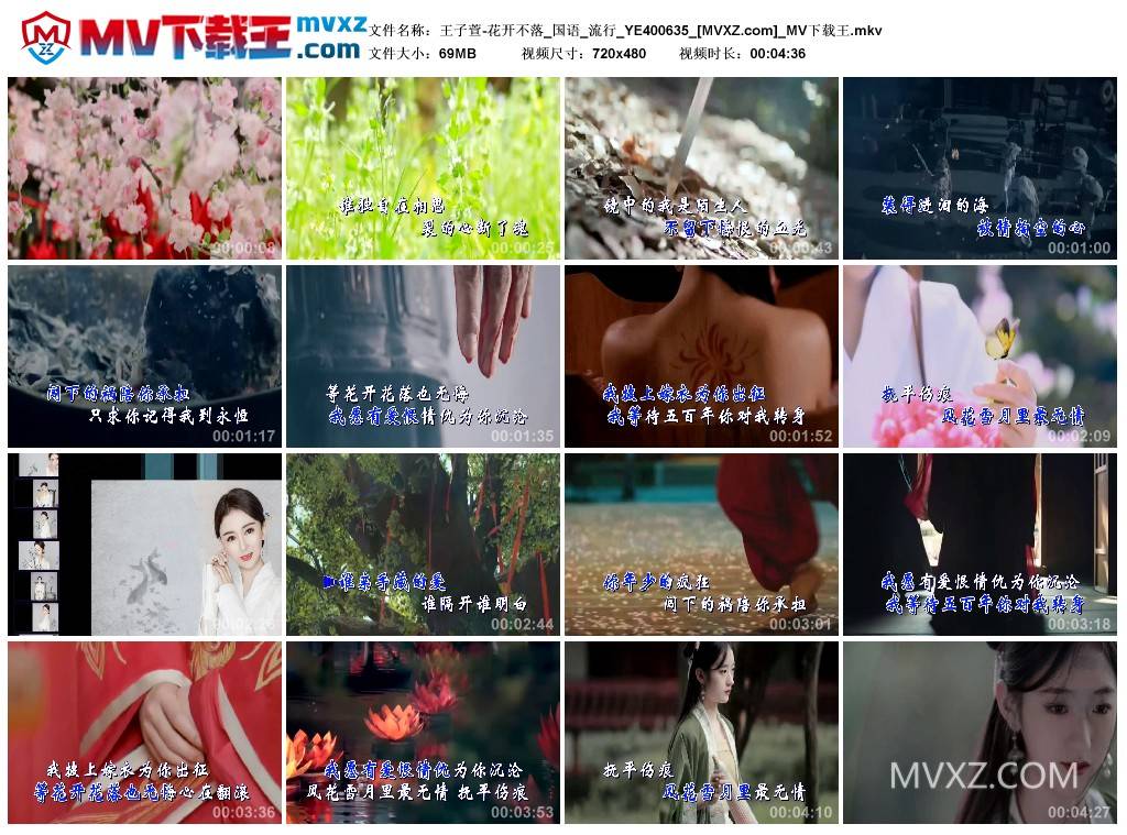 王子萱-花开不落_国语_流行_YE400635